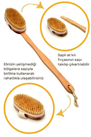6'lı Banyo Seti Doğal Kabak Lifi + Zeytinyağlı Sabun +At Kılı Masaj Fırçası + Topuk Taşı