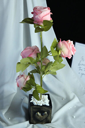 Çiçek Taş Rose Gölgeli  Saksı Kırmızı Beyaz 6 Adet &amp; Güller Yeşilliklerle Sarılı