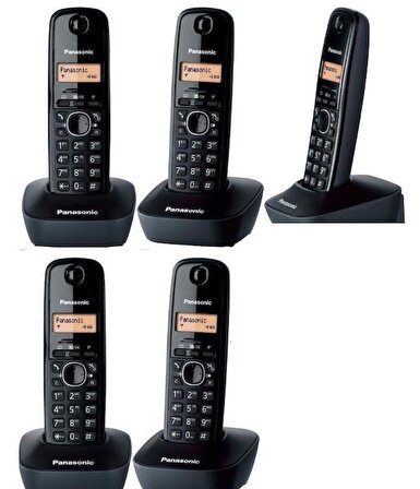 Panasonic KX-TG1615 5 Ahizeli Telsiz Telefon