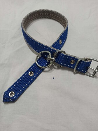 ORTA IRK KÖPEK TASMASİ BOY 60 CM EN 2.5 CM