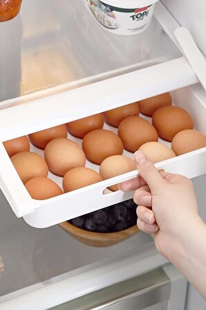Eggo Pratik Geçmeli Mandallı Raf Yumurtalık 15'li Dolap İçi Yumurta Saklama Kutusu