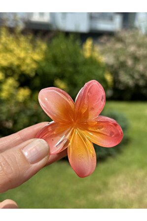 Lotus Çiçek Orta Boy Hibisküs Toka - Nar Çiçeği Rengi