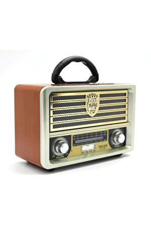 Meier M-113bt Açık Gold Renk Nostaljik Radyo