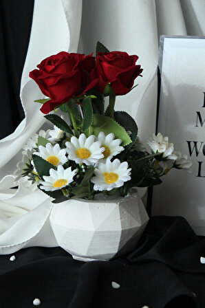 Kırmızı Güller 3 Adet 15 Adet Papatya Başlıklı Yapay Çiçek Taş Beyaz Saksı Sevgiliye Hediye