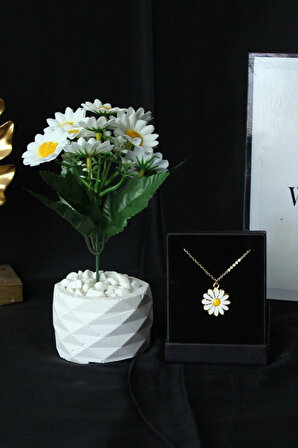Papatya Çiçek Taş Saksı & Altın Kaplama Papatya Kolye Sevgiliye Hediye