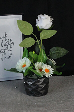Çiçek Taş Gümüş Gölgeli  Saksı Beyaz Gül & 5 Adet Papatyalarla Çevrili Yapay