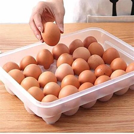Marydien 30lu Yumurta Saklama Kabı