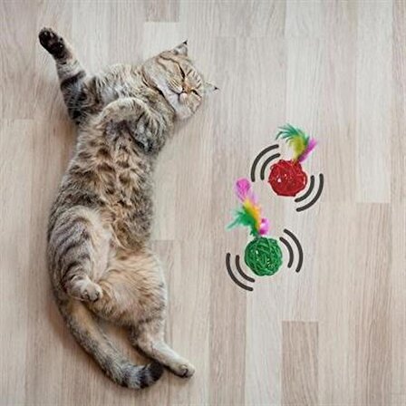 Marydien 2li Rattan Renkli Peluş Tüy Kedi Köpek Oyuncak Yakalama Çiğneme Çıngıraklı Top Oyuncağı