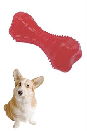  Köpekler İçin Diş Kaşıma Oyuncağı Tırtıklı Yapıda Plastik Dumbell