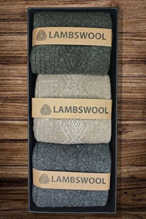 Erkek Koyun Yünü Lambswool Kışlık 3'lü Set Çorap