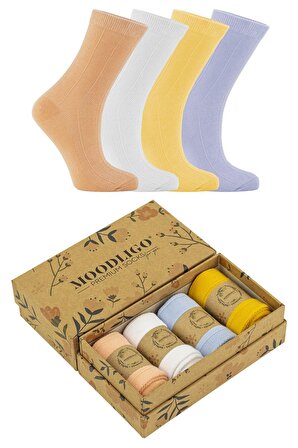 Kadın 4'lü Premium Çizgi Desenli Bambu Soket Çorap - Somon / Beyaz / Mavi / Sarı - Kutulu