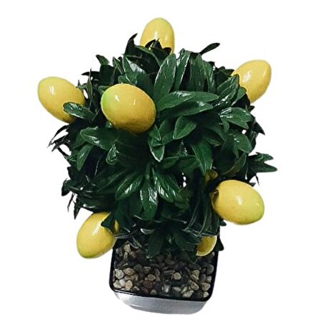 Dekoratif Saksıda Yapay Limon Ağacı