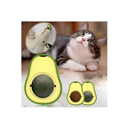 Avokado Kedi Otu Topu Kedi Oyuncağı, Diş Temizleyici
