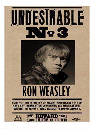 Harry Potter No:3 Ron Weasley Retro Poster - Çerçevesiz