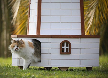 Mandu Su Geçirmez Çok Katlı Pervaneli Kedi Evi Beyaz - Fındık 