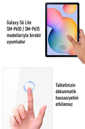 Samsung Galaxy Tab S6 Lite P610 P615 10.4 inç Uyumlu Temperli Ekran Koruyucu Kırılmaz Cam