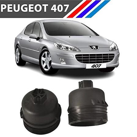 Peugeot 407 DW10 Motor Yağ Filtre Kabı Yan Sanayi 1103.L7 M1702-27