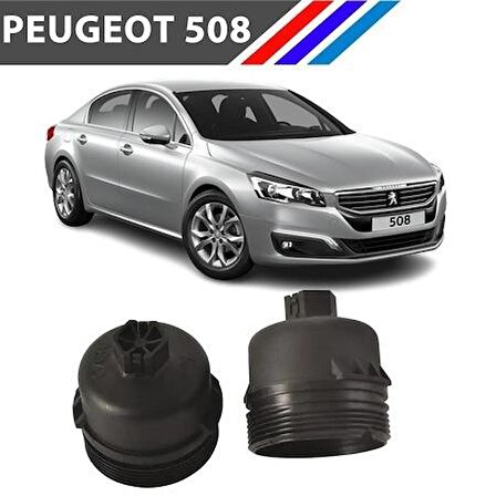 Peugeot 508 DW10 Motor Yağ Filtre Kabı Yan Sanayi 1103.L7 M1702-33