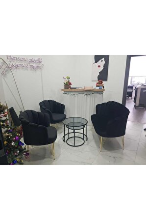 Siyah Metal Ayaklı Papatya Çay Koltuk Takımı Bekleme Koltuğu Ofis Koltuğu Berjer Cafe sandalyesi