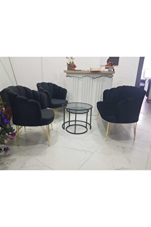 Siyah Metal Ayaklı Papatya Çay Koltuk Takımı Bekleme Koltuğu Ofis Koltuğu Berjer Cafe sandalyesi