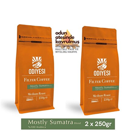 Odiyesi Mostly Sumatra Filtre Kahve 2x250gr