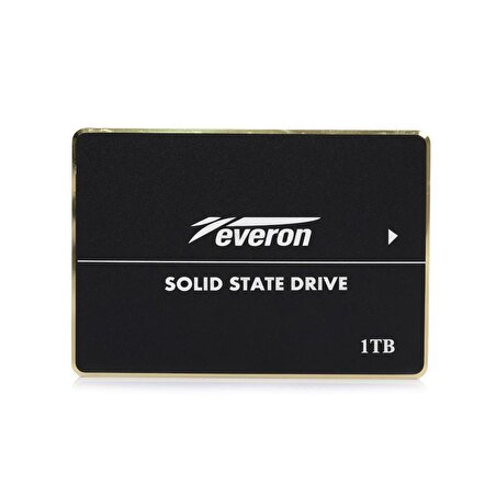 Everon 1 TB SSD