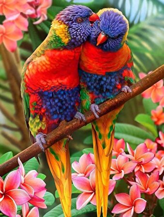 Movas Sanat  İki Papağanın Aşkı / Mozaik Puzzle 50X65cm-E20234210