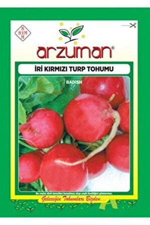 Arzuman Turp Tohumu ( İri Kırmızı Turp ) ( 2.500 Adet Tohum)