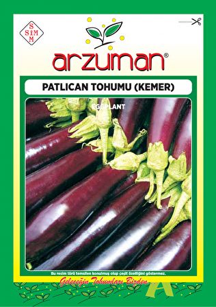 Arzuman Kemer Patlıcan Tohumu( 2.000 Adet Tohum)