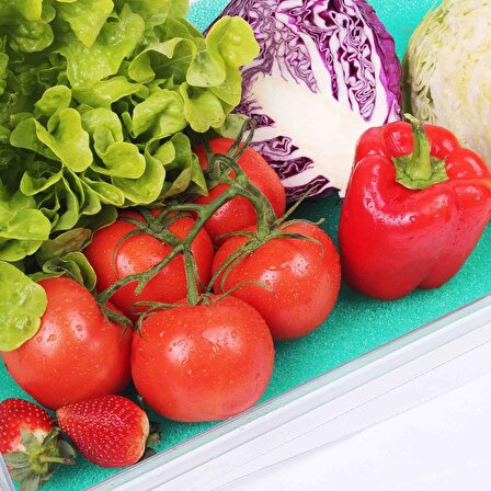 BODY-GYM Buzdolabı Içi Meyve Sebze Nem Önleyici Küf Koruyucu Mat