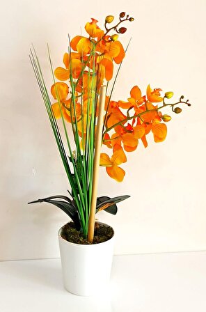 Beyaz Seramik Saksıda Turuncu Yapay Orkide Çiçeği