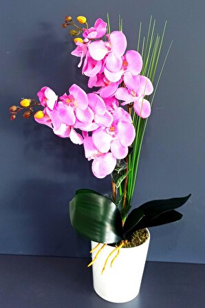 Seramik Saksıda Fuşya Renk Yapay Orkide Çiçeği