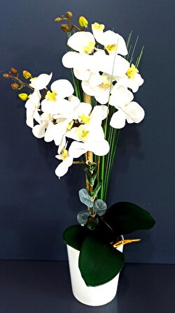 Beyaz Seramik Saksıda Beyaz Yapay Orkide Çiçeği