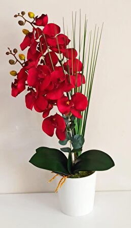 Beyaz Seramik Saksıda Kırmızı Yapay Orkide Çiçeği