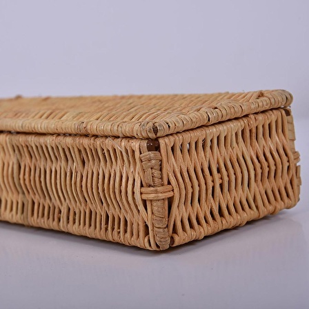 Bohem Dekoratif Kapaklı Rattan Kutu 26x5 cm Sepet, Iskandinav, Modern, Rattan