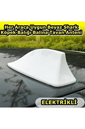 Her Araca Uygun Beyaz Shark Köpek Balığı Balina Tavan Anteni