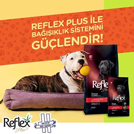 Reflex Plus Orta ve Büyük Irk Yetişkin Köpekler için Kuzulu ve Pirinçli Köpek Maması 3 Kg+ Konserve Hediyeli
