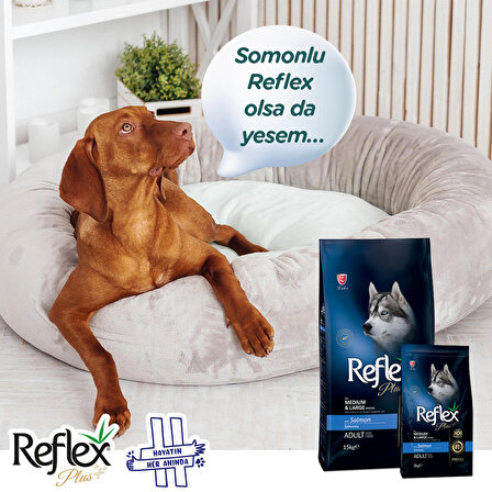 Reflex Plus Orta ve Büyük Irk Yetişkin Köpekler için Somonlu Köpek Maması 3 Kg +Konserve Hediyeli