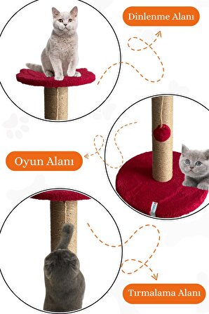 Stepli Kedi Tırmalama Tahtası Fuşya