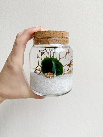 MARIMO TINY