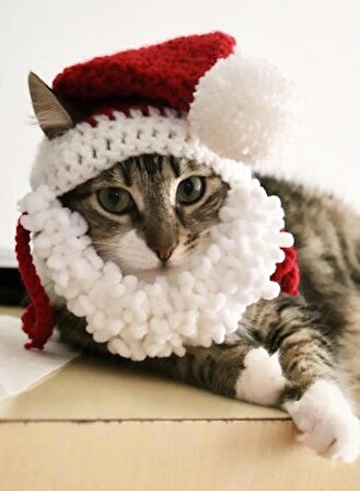 Yılbaşı Sakallı Noel Baba , Kedi Şapkası, Yetişkin Ponponlu Sakallı