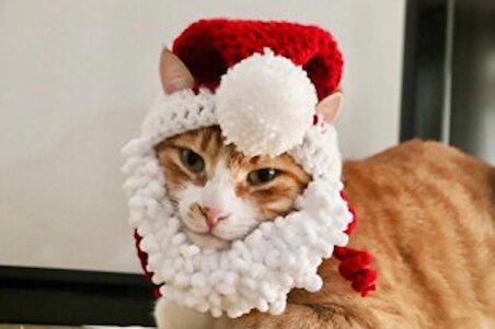 Yılbaşı Sakallı Noel Baba , Kedi Şapkası, Yetişkin Ponponlu Sakallı