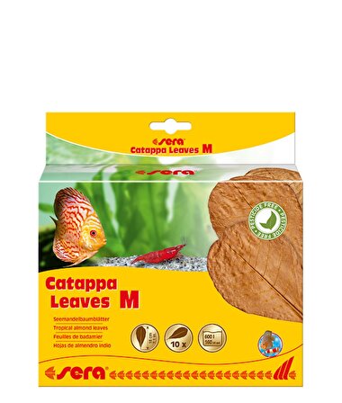 Sera Catappa Yaprağı M 18 cm (10 adet) 1 Kutu