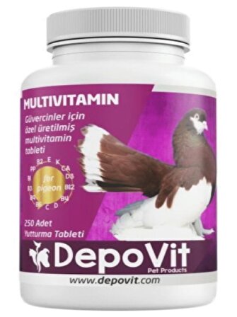 Depovit Enerji ,Vitamin Desteği Multivitamin Tablet 250li