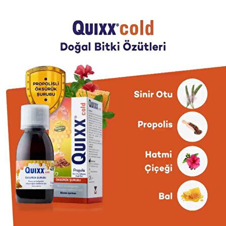 Quixx Cold Propolis Şurup 100 ml 2 Adet