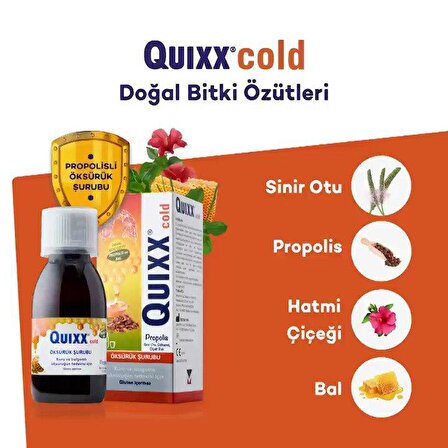 Quixx Cold Propolis Şurup 100 ml 6 Adet