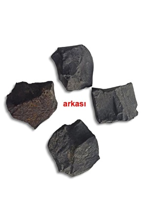 Shungite Şungit Taşı Düz Kesim Doğal Parça 469-1