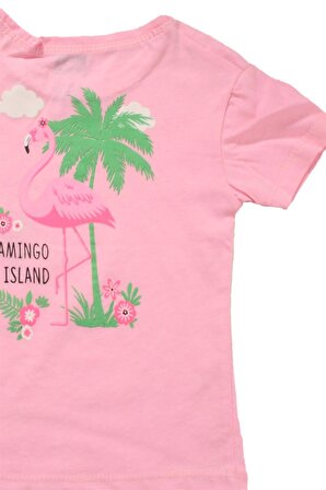 Flamingo Baskılı Kız Bebek Tshirt Pembe