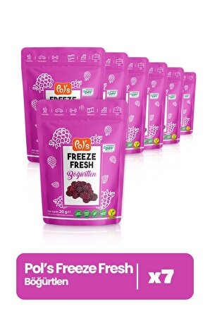 Freeze Fresh Böğürtlen 20 gr X7 Adet Freeze Dry, Dondurularak Kurutulmuş Meyve