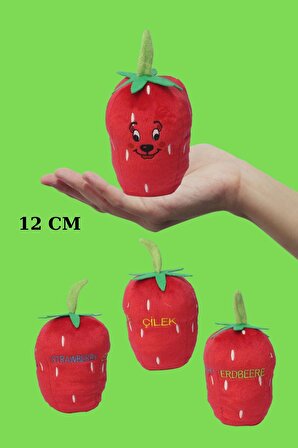 Okul Öncesi Çilek Peluş Oyuncak Meyve 12 cm Kelime Öğretici Tr-İng-Alm